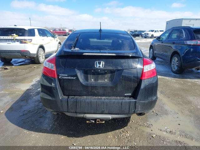 Продаж на аукціоні авто 2010 Honda Accord Crosstour Ex-l, vin: 5J6TF2H57AL801767, номер лоту: 12593798