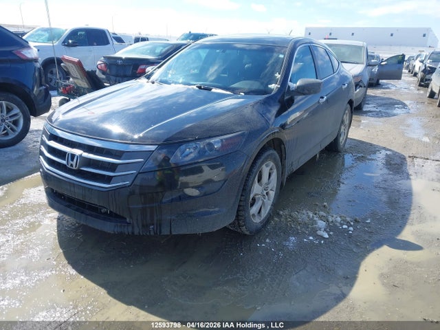 Продаж на аукціоні авто 2010 Honda Accord Crosstour Ex-l, vin: 5J6TF2H57AL801767, номер лоту: 12593798