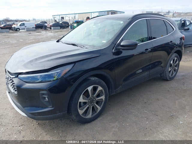 12593812 :رقم المزاد ، 1FMCU9JA1RUA89446 vin ، 2024 Ford Escape Platinum مزاد بيع