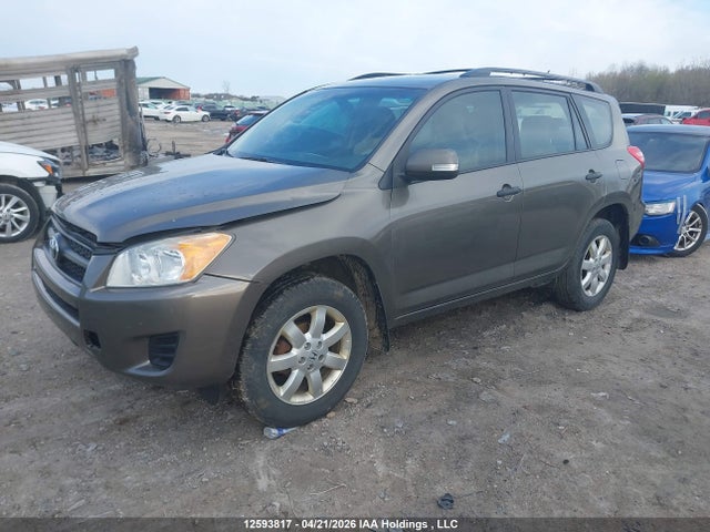 12593817 :رقم المزاد ، 2T3BF4DV2BW126587 vin ، 2011 Toyota Rav4 مزاد بيع