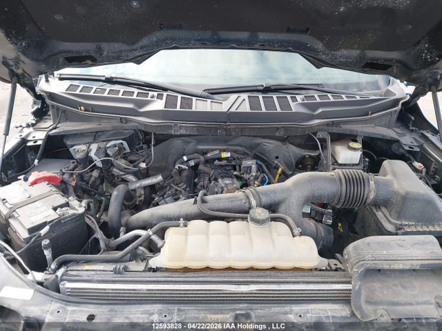 Продаж на аукціоні авто 2022 Ford F150 Supercrew, vin: 1FTEW1EP4NKD62473, номер лоту: 12593828