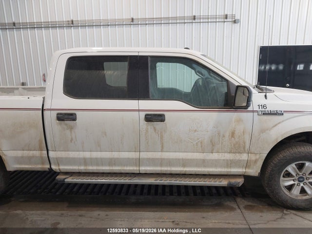 Aukcja sprzedaży 2017 Ford F150 Supercrew, vin: 1FTFW1EF3HFB14367, numer aukcji: 12593833