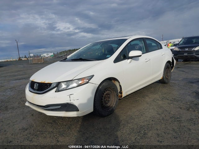 12593834 :رقم المزاد ، 2HGFB2F53FH007520 vin ، 2015 Honda Civic Lx مزاد بيع