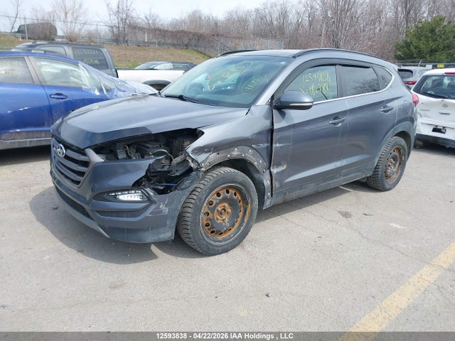 2016 Hyundai Tucson მანქანა იყიდება აუქციონზე, vin: KM8J3CA25GU182788, აუქციონის ნომერი: 12593838