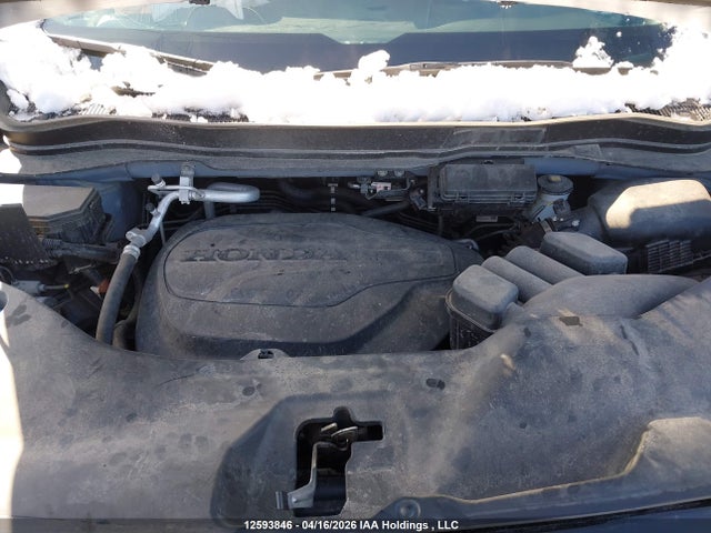 5FNYF8H6XSB501118 Honda Passport Trail Sport