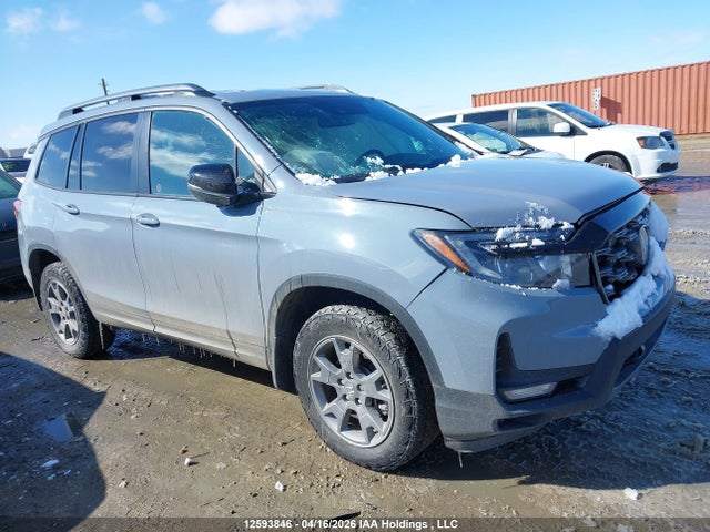 5FNYF8H6XSB501118 Honda Passport Trail Sport