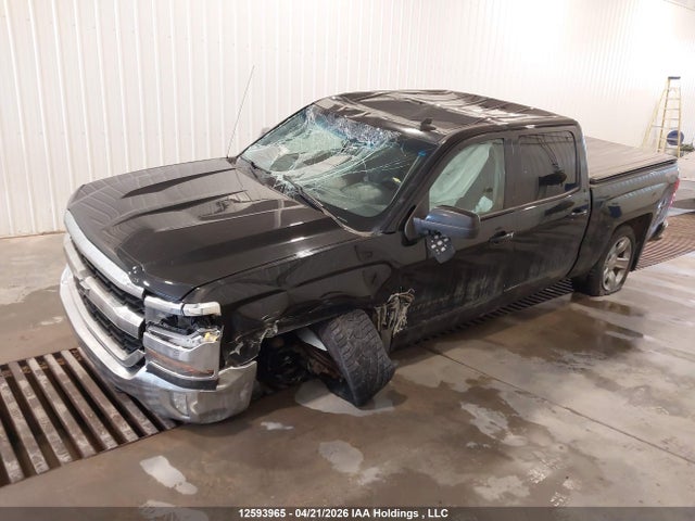 12593965 :رقم المزاد ، 3GCUKREC2HG217768 vin ، 2017 Chevrolet Silverado 1500 1lt مزاد بيع