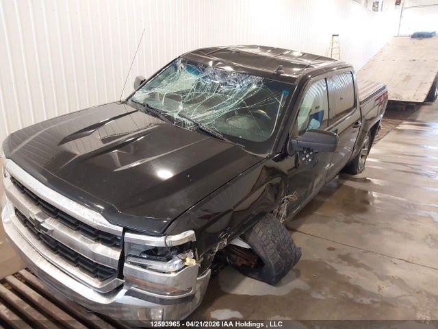 12593965 :رقم المزاد ، 3GCUKREC2HG217768 vin ، 2017 Chevrolet Silverado 1500 1lt مزاد بيع