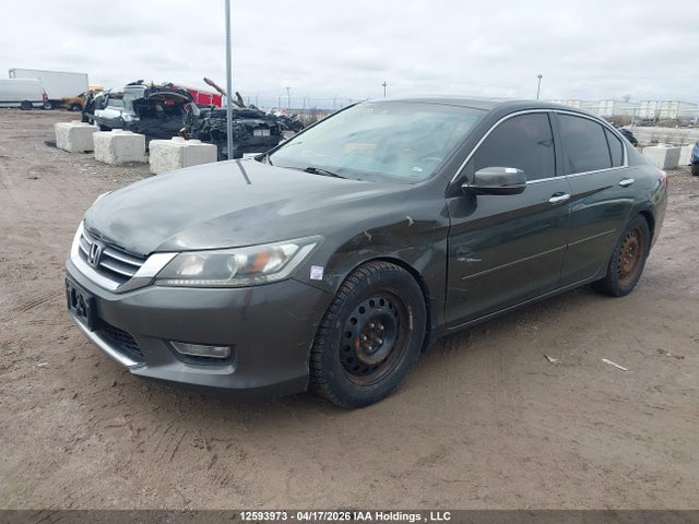 2013 Honda Accord Ex-l მანქანა იყიდება აუქციონზე, vin: 1HGCR2F85DA801830, აუქციონის ნომერი: 12593973