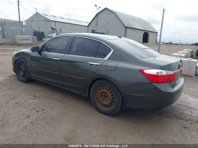 2013 Honda Accord Ex-l მანქანა იყიდება აუქციონზე, vin: 1HGCR2F85DA801830, აუქციონის ნომერი: 12593973