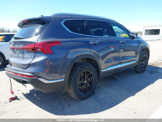 Aukcja sprzedaży 2023 Hyundai Santa Fe Luxury Hybrid Awd, vin: KM8S5DA11PU075118, numer aukcji: 12594065