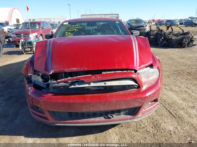 1ZVBP8AMXE5244296 Ford Mustang V6 Premium