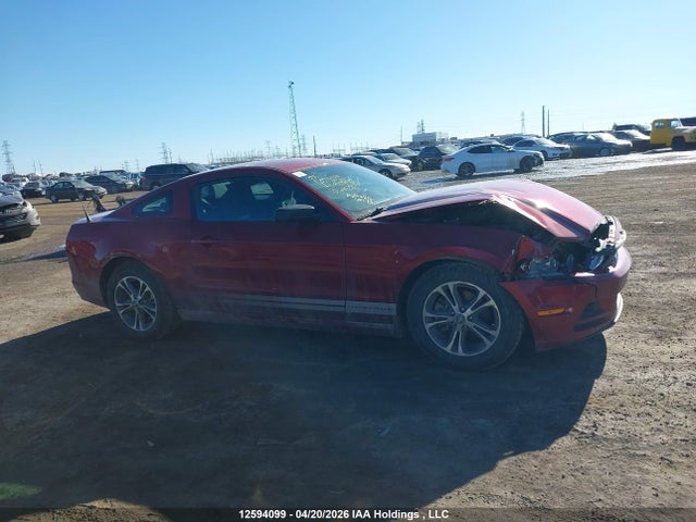 1ZVBP8AMXE5244296 Ford Mustang V6 Premium