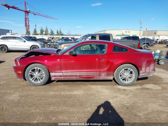 1ZVBP8AMXE5244296 Ford Mustang V6 Premium