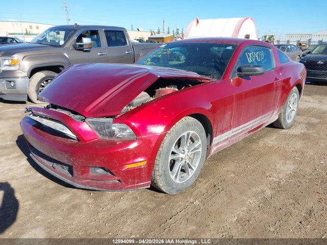 1ZVBP8AMXE5244296 Ford Mustang V6 Premium