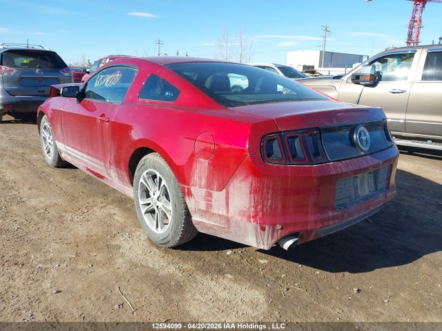 1ZVBP8AMXE5244296 Ford Mustang V6 Premium