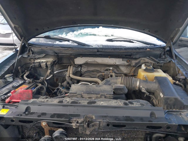 12507897 :رقم المزاد ، 1FTFW1EF9DFB32575 vin ، 2013 Ford F-150 Fx4 مزاد بيع