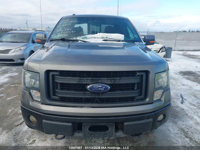 12507897 :رقم المزاد ، 1FTFW1EF9DFB32575 vin ، 2013 Ford F-150 Fx4 مزاد بيع