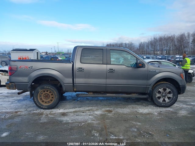 12507897 :رقم المزاد ، 1FTFW1EF9DFB32575 vin ، 2013 Ford F-150 Fx4 مزاد بيع