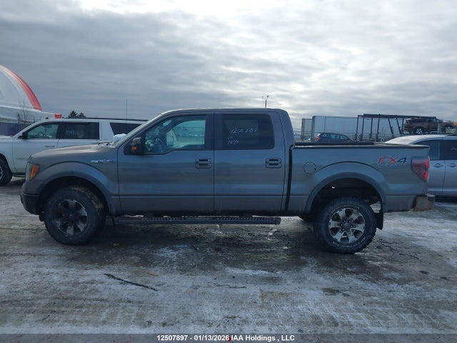 12507897 :رقم المزاد ، 1FTFW1EF9DFB32575 vin ، 2013 Ford F-150 Fx4 مزاد بيع