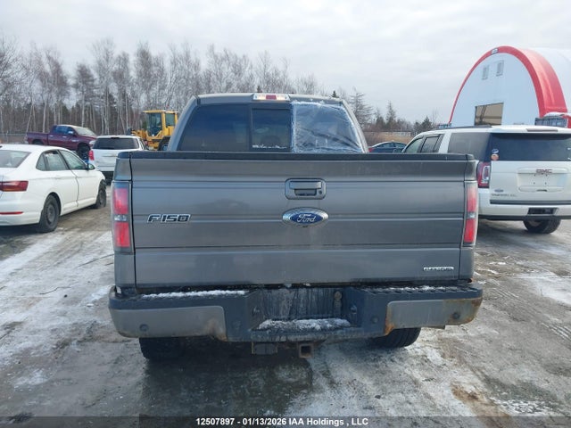 12507897 :رقم المزاد ، 1FTFW1EF9DFB32575 vin ، 2013 Ford F-150 Fx4 مزاد بيع