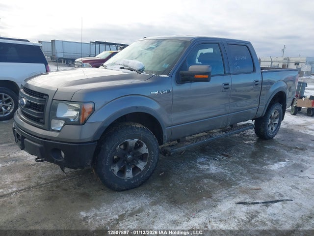 12507897 :رقم المزاد ، 1FTFW1EF9DFB32575 vin ، 2013 Ford F-150 Fx4 مزاد بيع