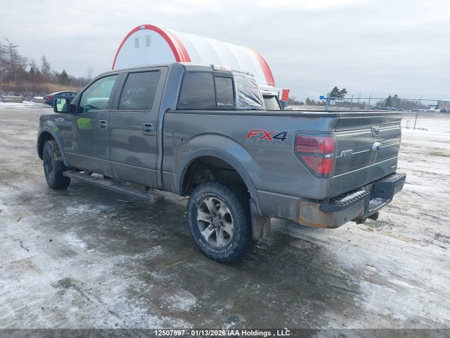 12507897 :رقم المزاد ، 1FTFW1EF9DFB32575 vin ، 2013 Ford F-150 Fx4 مزاد بيع