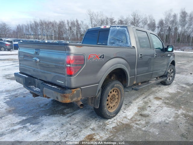 12507897 :رقم المزاد ، 1FTFW1EF9DFB32575 vin ، 2013 Ford F-150 Fx4 مزاد بيع