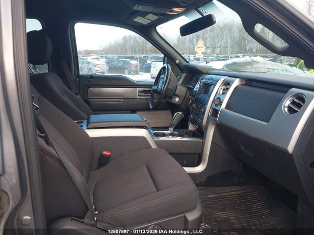12507897 :رقم المزاد ، 1FTFW1EF9DFB32575 vin ، 2013 Ford F-150 Fx4 مزاد بيع