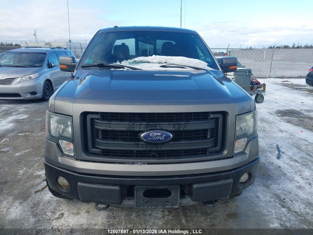 12507897 :رقم المزاد ، 1FTFW1EF9DFB32575 vin ، 2013 Ford F-150 Fx4 مزاد بيع