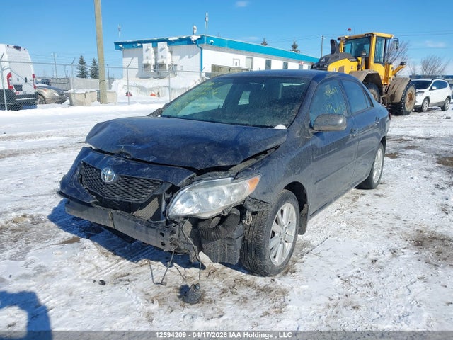 2010 Toyota Corolla S/le/xle მანქანა იყიდება აუქციონზე, vin: 2T1BU4EE2AC252199, აუქციონის ნომერი: 12594209