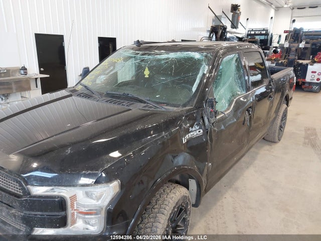 12594286 :رقم المزاد ، 1FTFW1E47KFB72875 vin ، 2019 Ford F150 Supercrew مزاد بيع