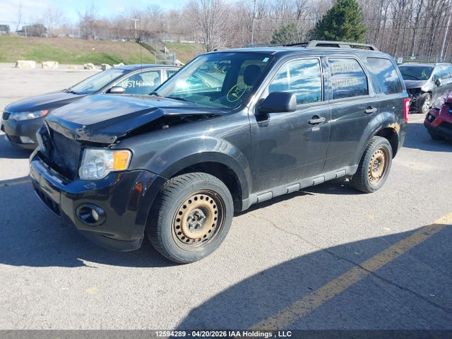 2011 Ford Escape მანქანა იყიდება აუქციონზე, vin: 1FMCU0DG2BKB86572, აუქციონის ნომერი: 12594289