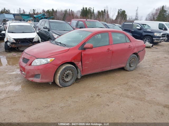 12594345 :رقم المزاد ، 2T1BU40E89C076391 vin ، 2009 Toyota Corolla S/le/xle مزاد بيع