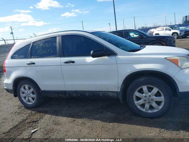 Aukcja sprzedaży 2011 Honda Cr-v, vin: 5J6RE4H33BL816677, numer aukcji: 12594365