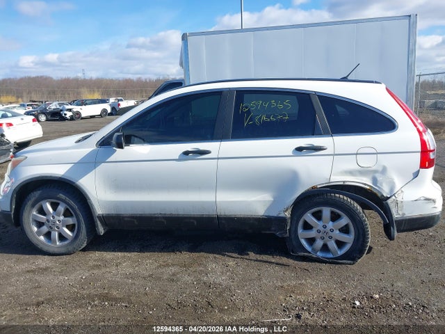Aukcja sprzedaży 2011 Honda Cr-v, vin: 5J6RE4H33BL816677, numer aukcji: 12594365