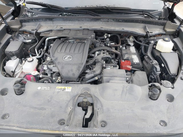 Продаж на аукціоні авто 2024 Lexus Tx 350 Base/350 Premium/350 Luxury, vin: 5TDAAAB62RS004523, номер лоту: 12594422