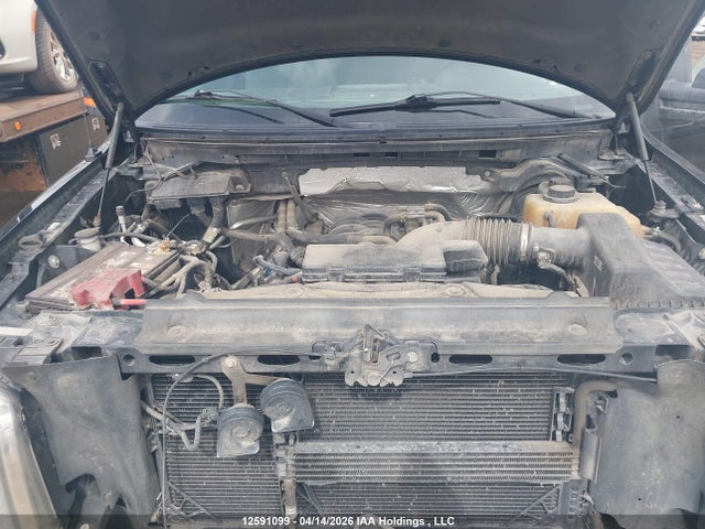 12591099 :رقم المزاد ، 1FTFW1EF2CFC04988 vin ، 2012 Ford F-150 Xlt مزاد بيع