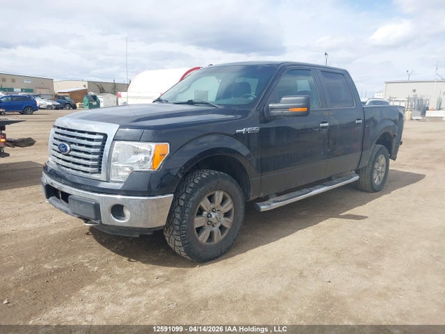 12591099 :رقم المزاد ، 1FTFW1EF2CFC04988 vin ، 2012 Ford F-150 Xlt مزاد بيع