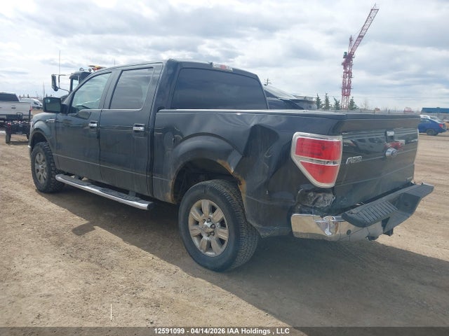 12591099 :رقم المزاد ، 1FTFW1EF2CFC04988 vin ، 2012 Ford F-150 Xlt مزاد بيع