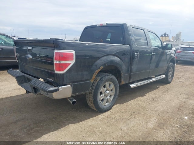 12591099 :رقم المزاد ، 1FTFW1EF2CFC04988 vin ، 2012 Ford F-150 Xlt مزاد بيع