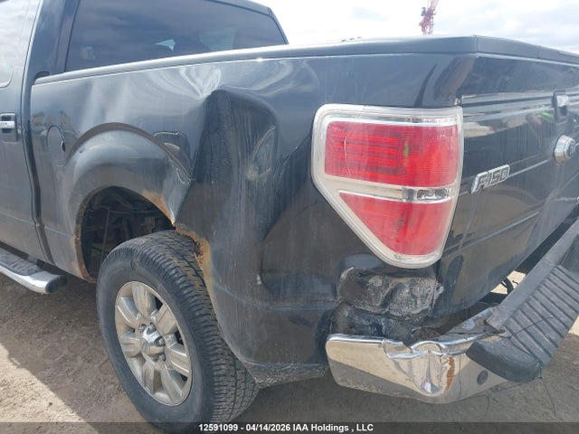 12591099 :رقم المزاد ، 1FTFW1EF2CFC04988 vin ، 2012 Ford F-150 Xlt مزاد بيع