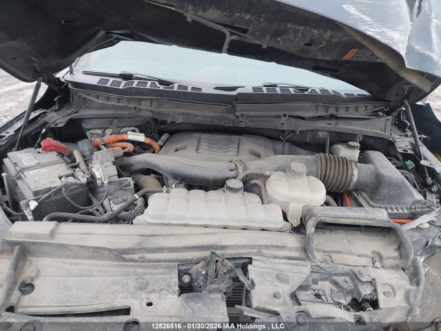 2022 Ford F-150 Platinum მანქანა იყიდება აუქციონზე, vin: 1FTFW1ED5NFB66917, აუქციონის ნომერი: 12526516
