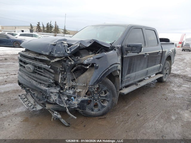 2022 Ford F-150 Platinum მანქანა იყიდება აუქციონზე, vin: 1FTFW1ED5NFB66917, აუქციონის ნომერი: 12526516