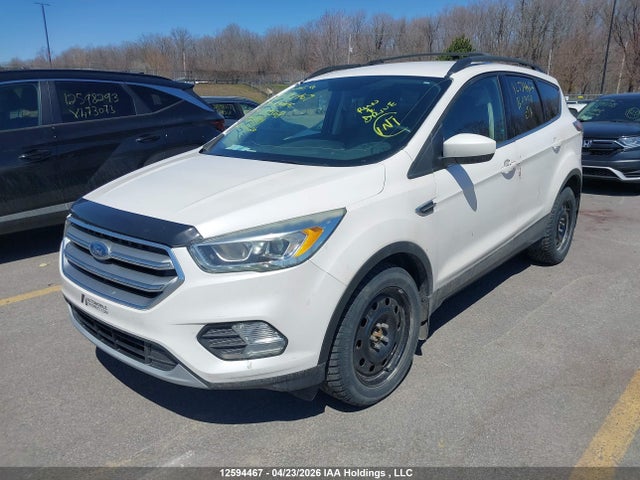 2017 Ford Escape მანქანა იყიდება აუქციონზე, vin: 1FMCU0GD9HUB17568, აუქციონის ნომერი: 12594467