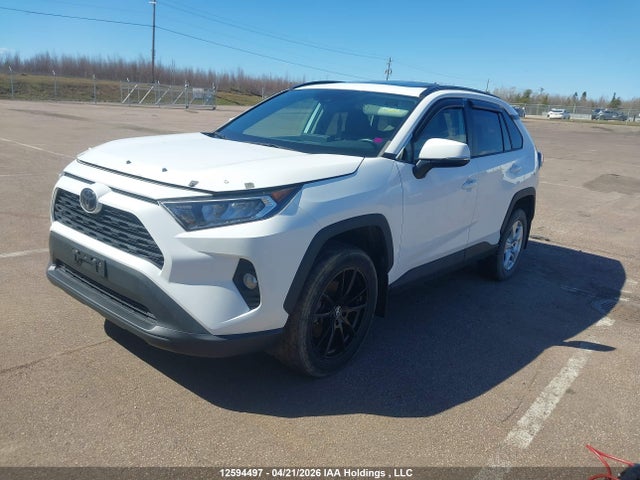 2T3R1RFV8KC048602 Toyota Rav4 Xle/xle Premium