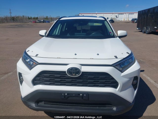 2T3R1RFV8KC048602 Toyota Rav4 Xle/xle Premium