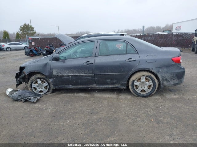 12594525 :رقم المزاد ، 2T1BU4EE4DC041638 vin ، 2013 Toyota Corolla مزاد بيع
