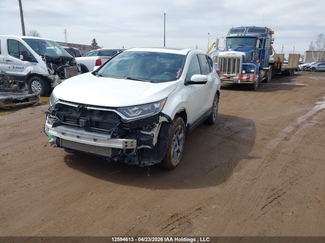 Aukcja sprzedaży 2019 Honda Cr-v Ex, vin: 2HKRW2H57KH150548, numer aukcji: 12594613