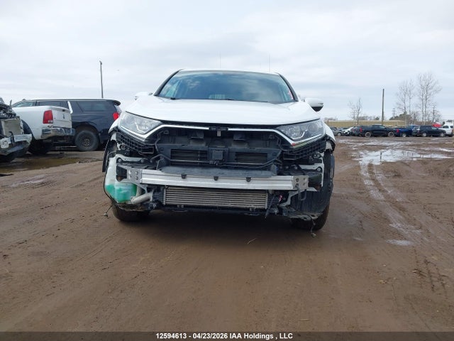 Aukcja sprzedaży 2019 Honda Cr-v Ex, vin: 2HKRW2H57KH150548, numer aukcji: 12594613